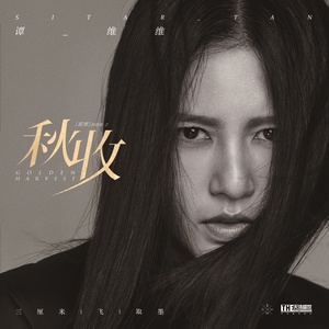 谭维维《取墨》Flac/MP3格式 无损音乐下载-无损音乐源