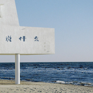 呆呆破《说什么》Flac/MP3格式 无损音乐下载-无损音乐源