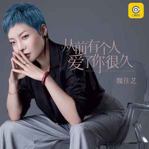 魏佳艺《从前有个人爱了你很久》Flac/MP3格式 无损音乐下载-无损音乐源