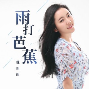 魏新雨《雨打芭蕉》Flac/MP3格式 无损音乐下载-无损音乐源