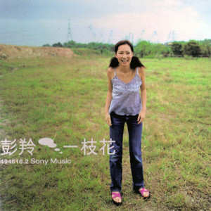 彭羚《一枝花》Flac/MP3格式 无损音乐下载-无损音乐源