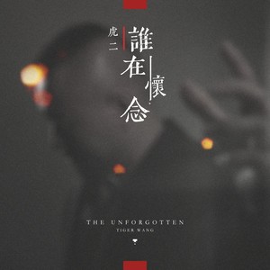 虎二《谁在怀念》Flac/MP3格式 无损音乐下载-无损音乐源