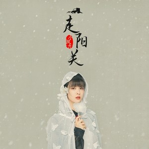 小凤九《走阳关》Flac/MP3格式 无损音乐下载-无损音乐源