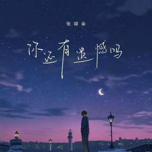 张禄籴《你还有遗憾吗》Flac/MP3格式 无损音乐下载-无损音乐源