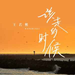王若熙《该走的时候》Flac/MP3格式 无损音乐下载-无损音乐源