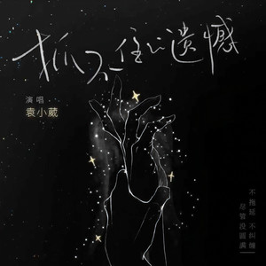 袁小葳《抓不住的遗憾》Flac/MP3格式 无损音乐下载-无损音乐源