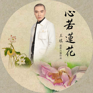 王琪《心若莲花》Flac/MP3格式 无损音乐下载-无损音乐源