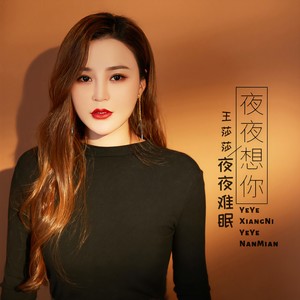 王莎莎《夜夜想你夜夜难眠》Flac/MP3格式 无损音乐下载-无损音乐源