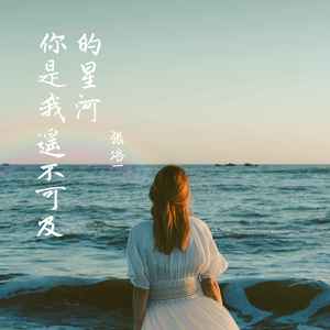 张洛一《遥不可及的星河》Flac/MP3格式 无损音乐下载-无损音乐源