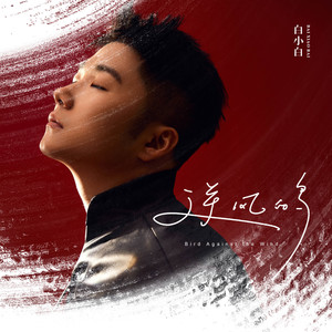 白小白《逆风的鸟》Flac/MP3格式 无损音乐下载-无损音乐源
