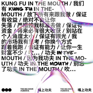 大波浪《嘴上功夫》Flac/MP3格式 无损音乐下载-无损音乐源