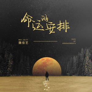 魏佳艺《命运的安排》Flac/MP3格式 无损音乐下载-无损音乐源