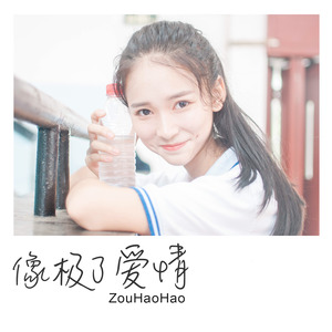 ZouHaoHao《像极了爱情》Flac/MP3格式 无损音乐下载-无损音乐源