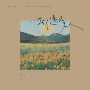 王一一《你会遇见某人》Flac/MP3格式 无损音乐下载-无损音乐源