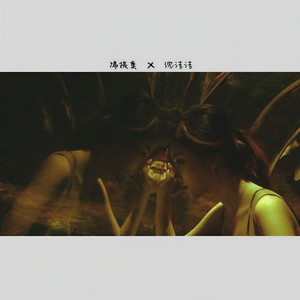 冯提莫《沈洁洁》Flac/MP3格式 无损音乐下载-无损音乐源