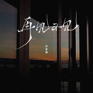 苏星婕《再见不见》Flac/MP3格式 无损音乐下载-无损音乐源