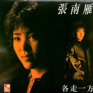 张南雁《空谷足音》Flac/MP3格式 无损音乐下载-无损音乐源