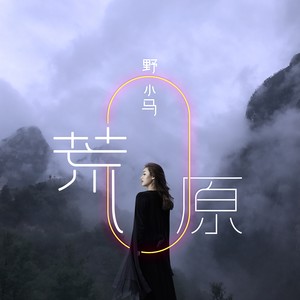 野小马《荒原》Flac/MP3格式 无损音乐下载-无损音乐源