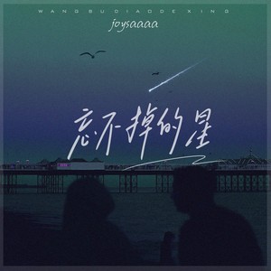 Joysaaaa《忘不掉的星》Flac/MP3格式 无损音乐下载-无损音乐源