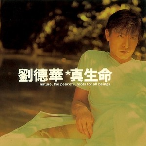 刘德华《舞照跳》Flac/MP3格式 无损音乐下载-无损音乐源