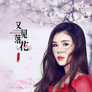 孙艺琪《又见落花》Flac/MP3格式 无损音乐下载-无损音乐源