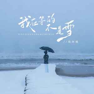 怪阿姨《我在等的不是雪》Flac/MP3格式 无损音乐下载-无损音乐源