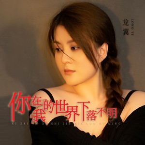 龙翼《你在我的世界下落不明》Flac/MP3格式 无损音乐下载-无损音乐源