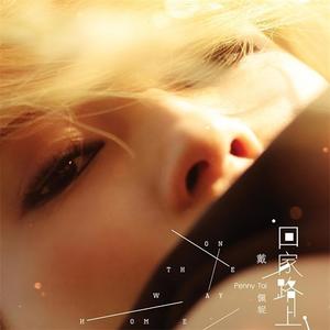 戴佩妮《多么想念你》Flac/MP3格式 无损音乐下载-无损音乐源