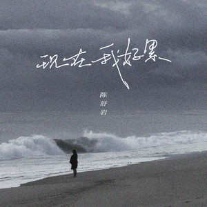 陈舒岩《现在我好累》Flac/MP3格式 无损音乐下载-无损音乐源