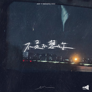 en《不是不想你》Flac/MP3格式 无损音乐下载-无损音乐源