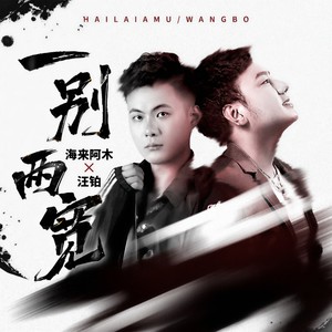 海来阿木/汪铂《一别两宽》Flac/MP3格式 无损音乐下载-无损音乐源