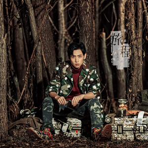 魏晨《旅程》Flac/MP3格式 无损音乐下载-无损音乐源