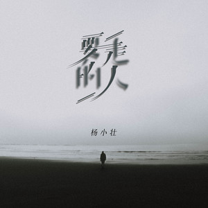 杨小壮《要走的人》Flac/MP3格式 无损音乐下载-无损音乐源