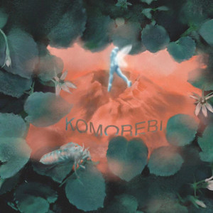 刘思鉴《蝉壳》Flac/MP3格式 无损音乐下载-无损音乐源