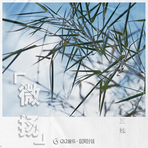 三妹《微扬》Flac/MP3格式 无损音乐下载-无损音乐源