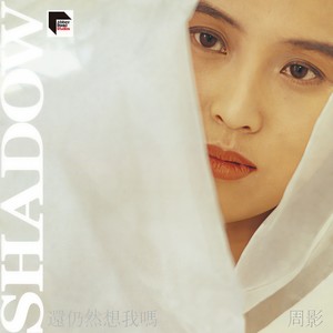 周影《为何爱上你》Flac/MP3格式 无损音乐下载-无损音乐源