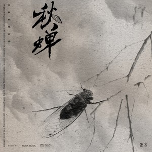 泳儿《白昼》Flac/MP3格式 无损音乐下载-无损音乐源