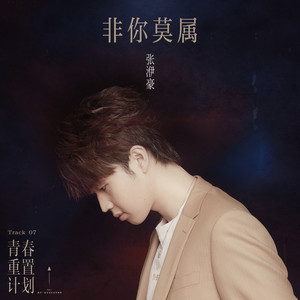 张洢豪《非你莫属》Flac/MP3格式 无损音乐下载-无损音乐源