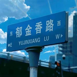 肖艾《翻过世俗的墙》Flac/MP3格式 无损音乐下载-无损音乐源