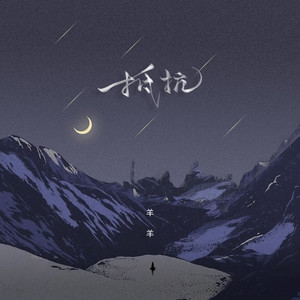 羊羊《抵抗》Flac/MP3格式 无损音乐下载-无损音乐源