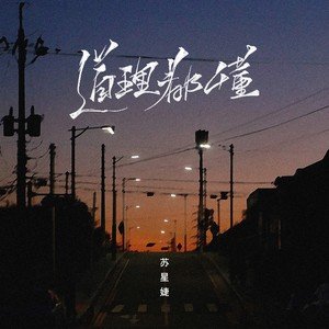 苏星婕《道理都懂》Flac/MP3格式 无损音乐下载-无损音乐源