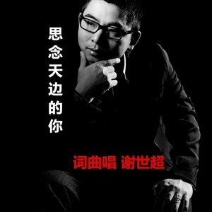 谢世超《思念天边的你》Flac/MP3格式 无损音乐下载-无损音乐源