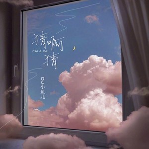 DJ小鱼儿《猜啊猜》Flac/MP3格式 无损音乐下载-无损音乐源
