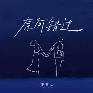 王天戈《奈何错过》Flac/MP3格式 无损音乐下载-无损音乐源