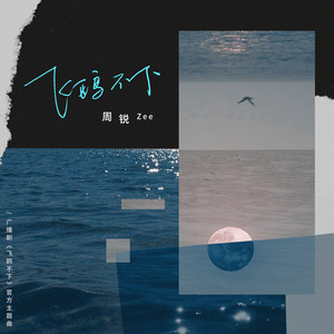 周锐《飞鸥不下》Flac/MP3格式 无损音乐下载-无损音乐源