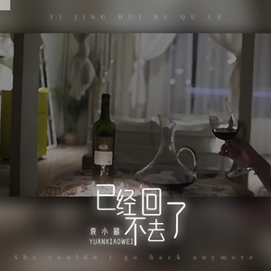 袁小葳《已经回不去了》Flac/MP3格式 无损音乐下载-无损音乐源