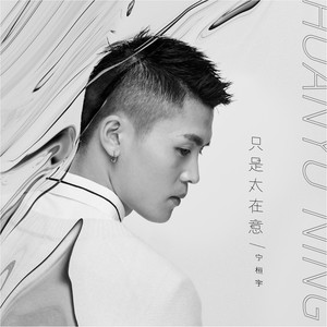 宁桓宇《只是太在意》Flac/MP3格式 无损音乐下载-无损音乐源