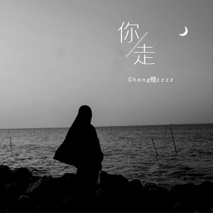 Cheng橙zzzz《你走》Flac/MP3格式 无损音乐下载-无损音乐源