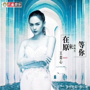 王奕心《在原来的地方等你》Flac/MP3格式 无损音乐下载-无损音乐源