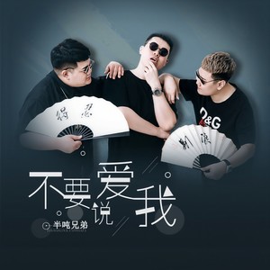 半吨兄弟《不要说爱我》Flac/MP3格式 无损音乐下载-无损音乐源